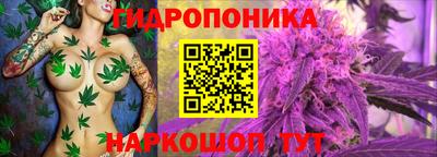 трава Сланцы