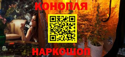 МДПВ Славгород