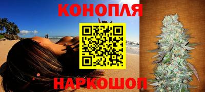 трава Сланцы