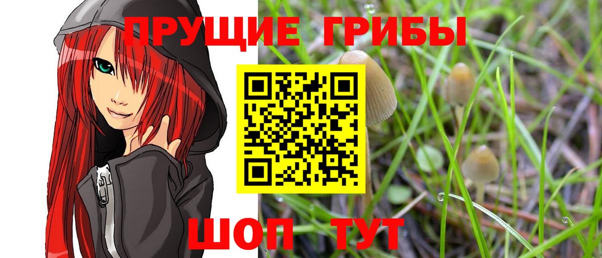 Норильск  Галлюциногенные грибы мицелий  Вход с VPN 