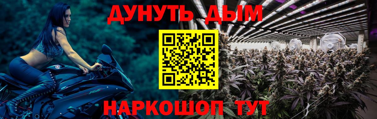 Бошки Шишки план Норильск